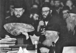 י"א ניסן תשל"ו | גלריה